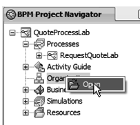 oracle-bpm-suite-11gr1-creating-bpm-application-img-5