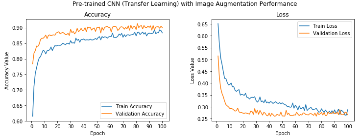how-to-leverage-transfer-learning-using-pretrained-cnn-models-tutorial-img-3