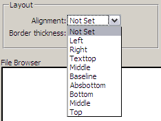 moodle-19-testing-and-assessment-advanced-options-quiz-img-3
