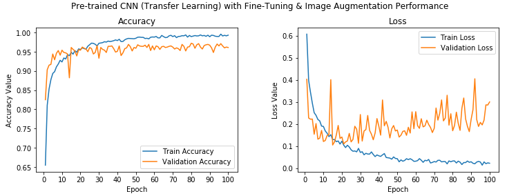 how-to-leverage-transfer-learning-using-pretrained-cnn-models-tutorial-img-5