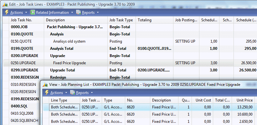 how-microsoft-dynamics-nav-fits-consultancy-company-img-8