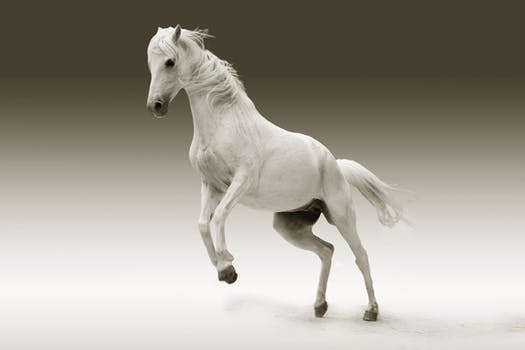 article-image-modeling-orchestration-and-choreography-service-oriented-architecture