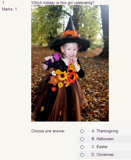 moodle-19-testing-and-assessment-advanced-options-quiz-img-2