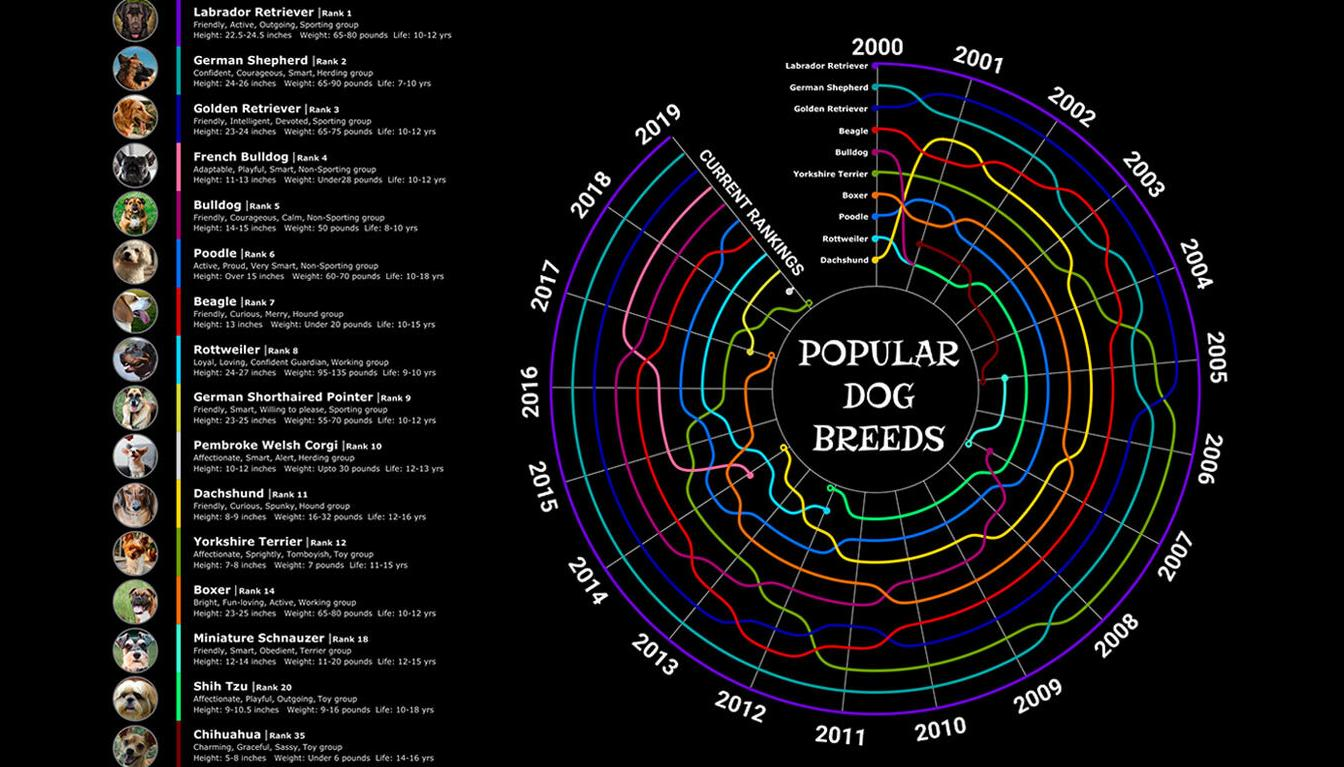 2020-vizinreview-the-year-in-viz-of-the-days-from-whats-new-img-10