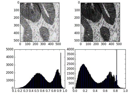 mathematical-imaging-img-8