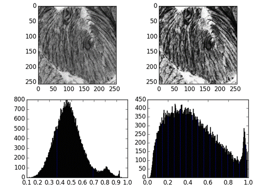 mathematical-imaging-img-9